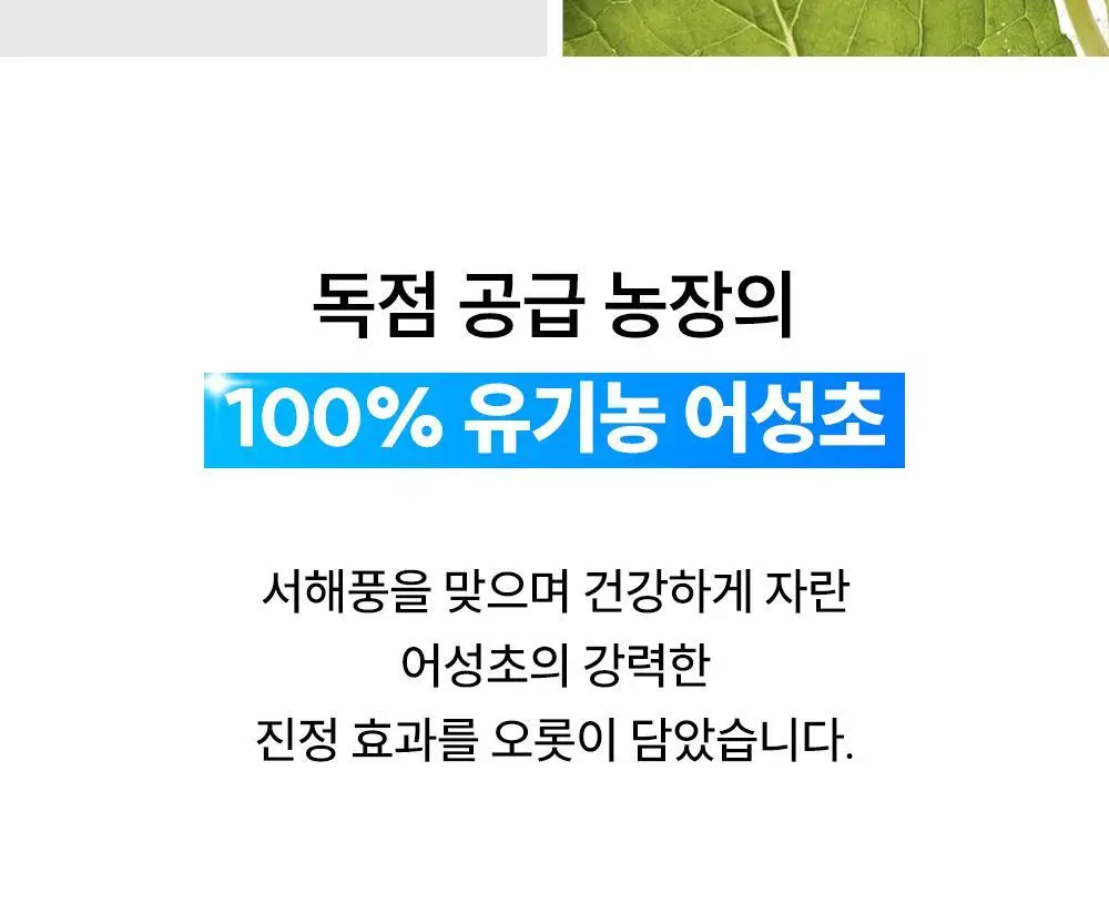 [올리브영 단독기획] 헤이네이처 어성초 스킨 모이스처라이저 토너 200ml 기획 (+어성초 마스크 2매) 상세페이지 12